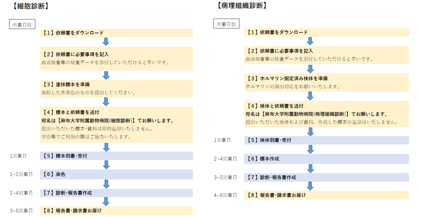 細胞診断・病理組織診断受付フロー