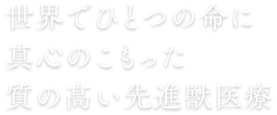 麻布大学動物病院